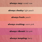 Primer-Infused Matte Blush, Long-Lasting, Lightweight & Buildable Powder Blush, Delivers a Matte Finish, Vegan & Cruelty-Free, Always Tempting (Pack of 2)